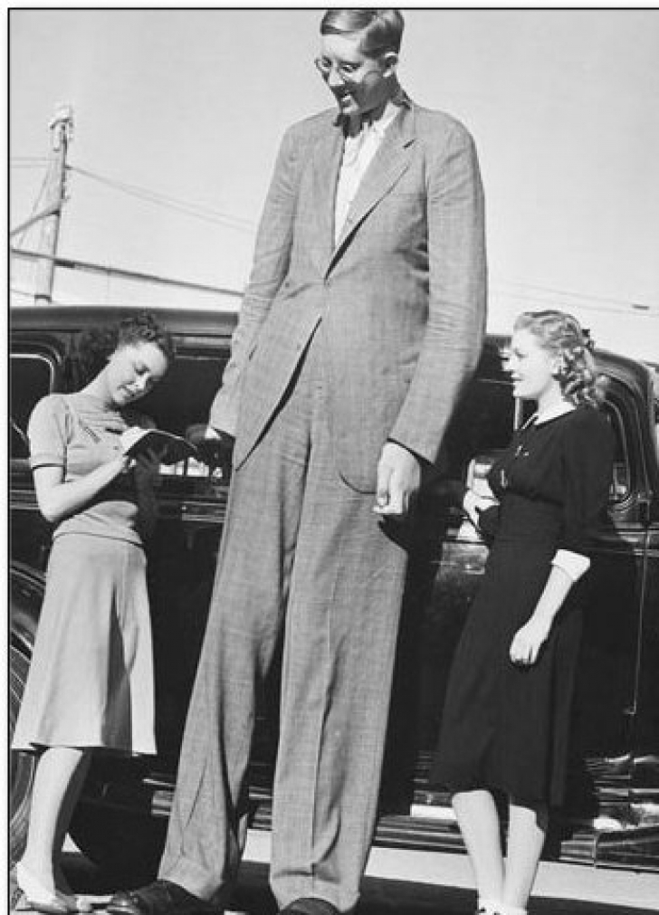 Se spune că este cel mai înalt om care a trăit vreodată.  Robert Wadlow din Illinois, SUA