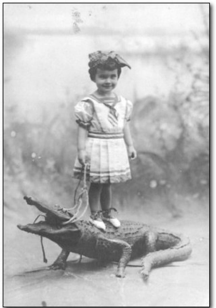 În 1920, în Indiana, o poză cu copilul mic pe un crocodil era destul de comună se pare