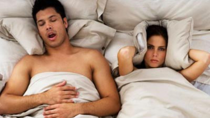 Plante de interior care îți pot liniști nopțile: pot ameliora sforăitul 