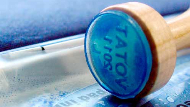 REZULTATE ALEGERI PREZIDENȚIALE 2014. Românii din Noua Zeelandă au început să voteze