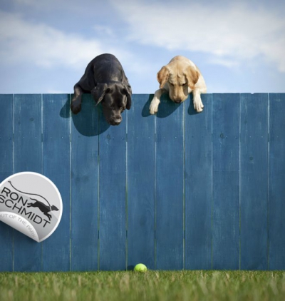 FOTOGRAFII amuzante cu căţei