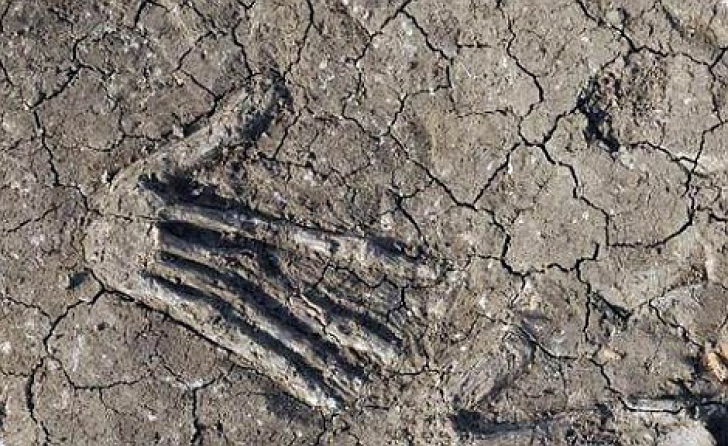 16 mâini au fost dezgropate de arheologii egipteni