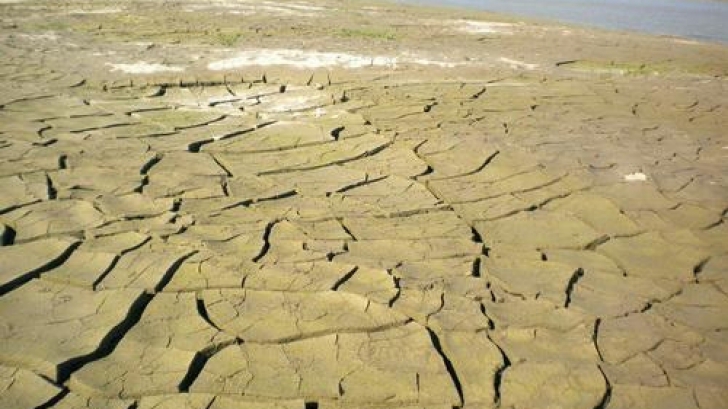 Zone întinse din Oltenia se transforme în deşert