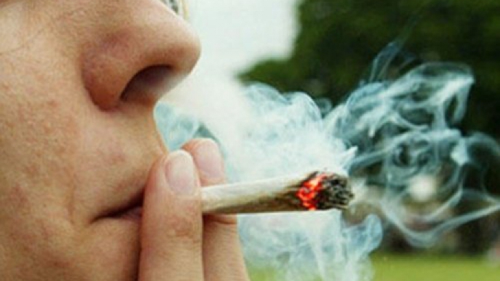 Efectele INCREDIBILE ale consumului de marijuana asupra organismului tău