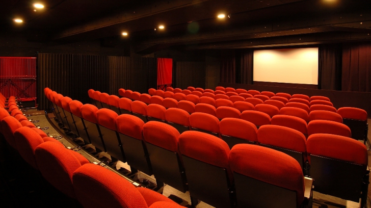 Directorul RADEF: Proiecţia de filme româneşti în cinematografe, în pericol dacă se vor privatiza