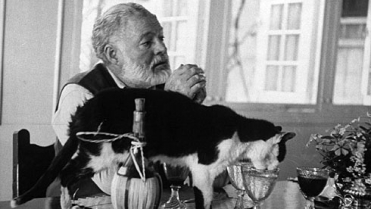 Hemingway cu pisica lui