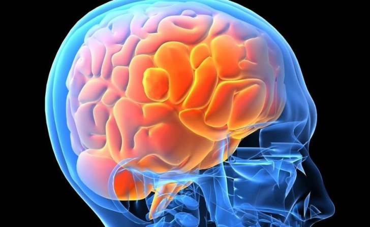 ZECE MITURI uluitoare despre CREIERUL UMAN. Adevărat sau fals? / Foto: topnews.in