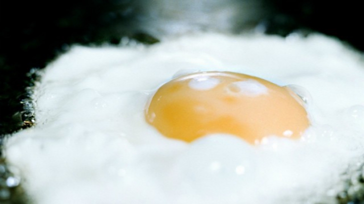 Controversa: Cum e mai bine sa mananci oul, doar albusul sau si galbenusul?