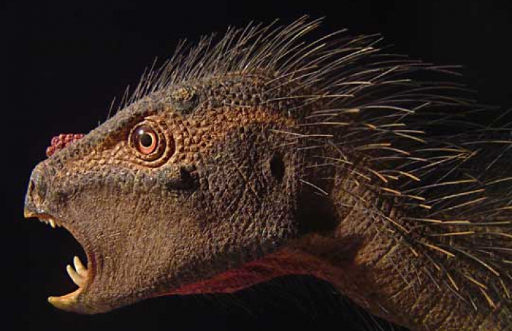 Dinozaurul Pegomastax