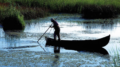 DELTA DUNĂRII. Dosare penale şi zeci de amenzi pentru braconaj piscicol şi cinegetic&nbsp;
