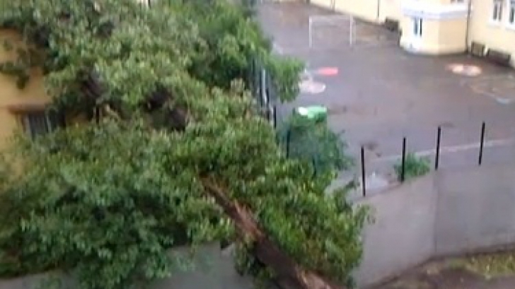 Capitala după furtună: două persoane au fost electrocutate, copaci căzuţi şi străzi inundate 