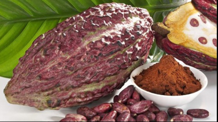 Beneficiile consumului de cacao: Ar putea opri evoluţia maladiei Alzheimer