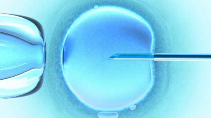 Premieră! Embrioni umani, modificaţi genetic