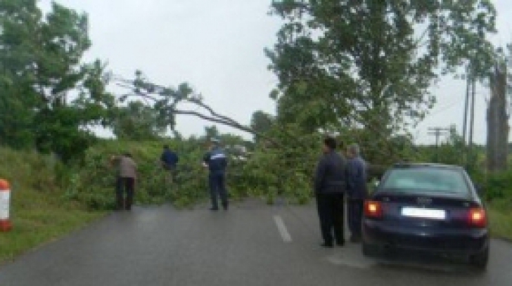 Trafic &icirc;ngreunat