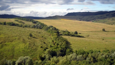 Transilvania saxonă