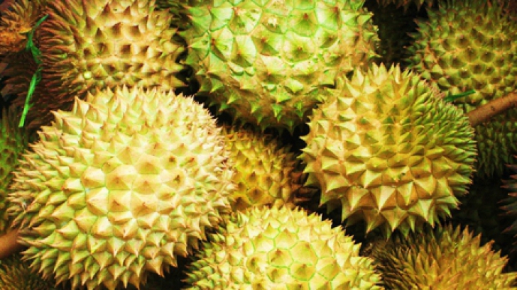 Fructul durian