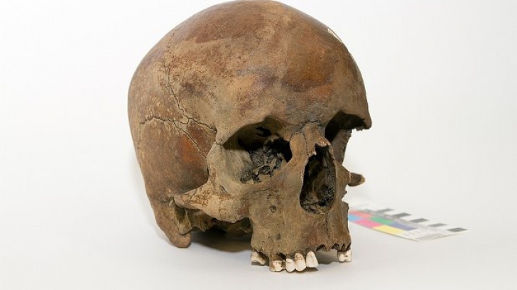 Descoperire importantă în urma scanării craniului celebrului filosof și matematician René Descartes