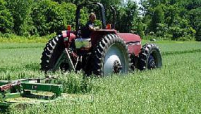 Facilităţi pentru investitorii în agricultură