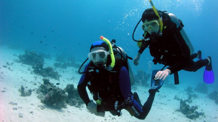 Comorile din Marea Neagră