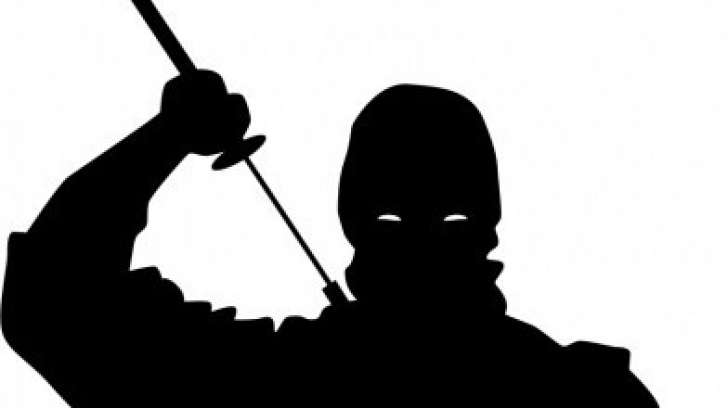 Cel mai inedit anunț de angajare! O prefectură oferă 1.400 de euro pe lună pentru ninja!