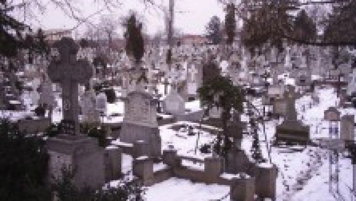 Zeci de cruci dintr-un cimitir au fost vandalizate