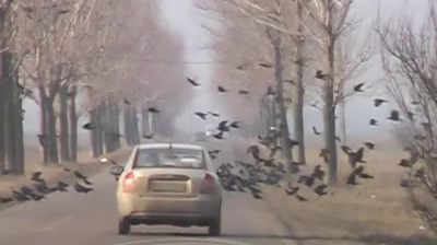 Imagini apocaliptice pe un drum judeţean