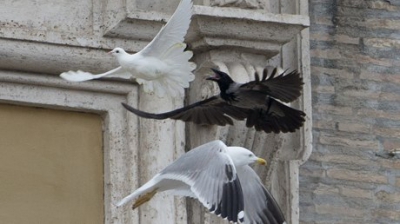 Porumbeii păcii, atacaţi