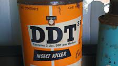 Insecticidul DDT ar putea fi un factor de risc pentru boala Alzheimer