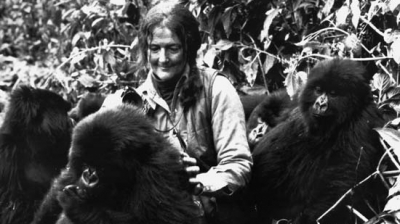 Dian Fossey