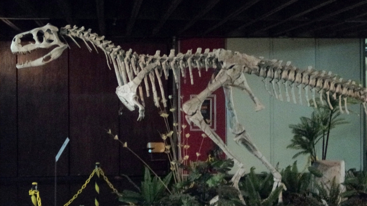 Printre descoperiri, şi scheletul unui Abelisaurus