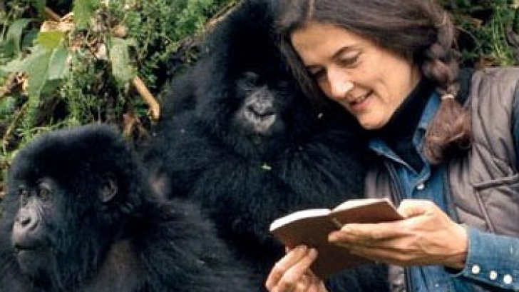 Google o sărbătoreşte pe Dian Fossey, la 82 de ani de la naşterea cercetătoarei americane