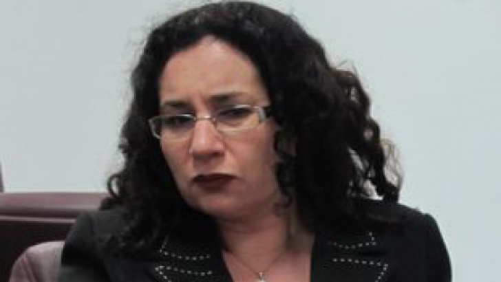 Oana Schmidt Hăineală: Nu am fost la Guvern să discut despre coduri