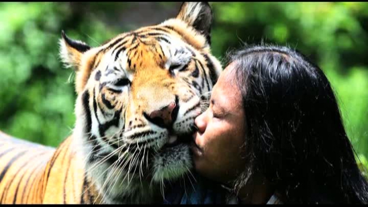 Prietenia dintre un tânăr şi tigrul pe care îl creşte de când avea 3 luni, Mulan