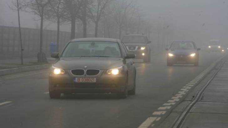 Cod galben în 5 judeţe