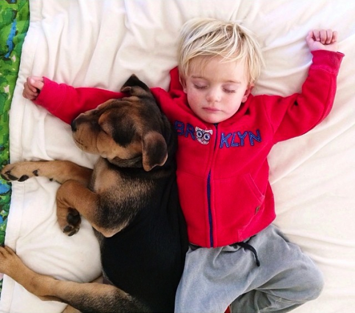 Cele mai EMOŢIONANTE imagini cu un copil care doarme cu câinele