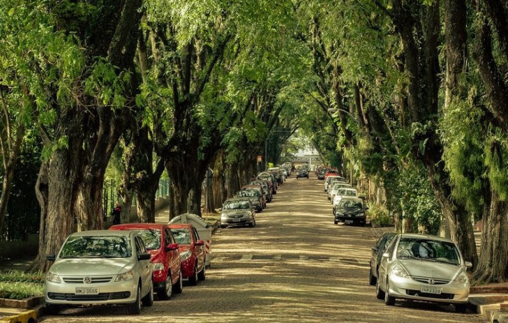 Strada din centrul oraşului brazilian Rua Goncalo de Carvalho
