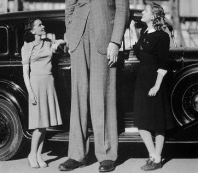 Robert Wadlow