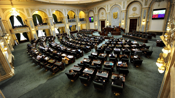 Plenul Senatului a votat noul Birou Permanent. Rocadă la Secretariatul general al Senatului / Foto: MEDIAFAX