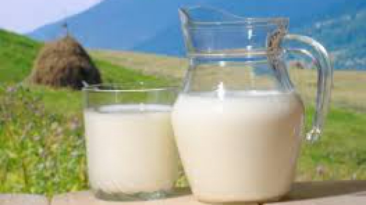 Lapte integral sau lapte degresat?
