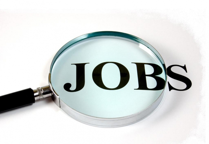 Harta joburilor vacante la nivel național: Câte joburi oferă angajatorii și în ce domenii