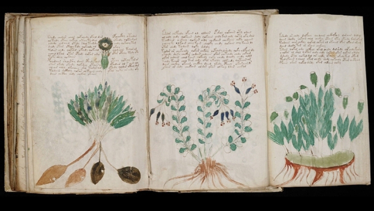 Manuscrisul Voynich, descifrat parțial în premieră