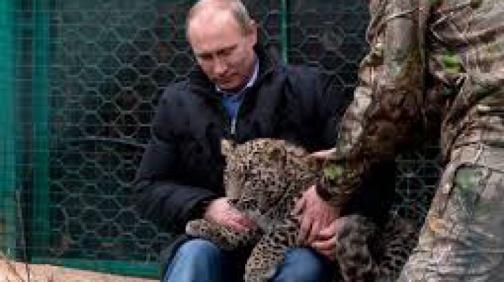 Putin a calmat din priviri un pui de leopard care s-a năpustit asupra unor ziariști