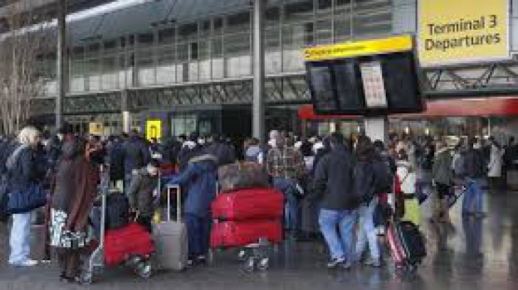 Românce, reţinute după descoperirea unor iguane rare într-un bagaj pe Aeroportul Heathrow
