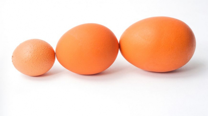 Care este diferenţa între un ou mic şi un ou mare