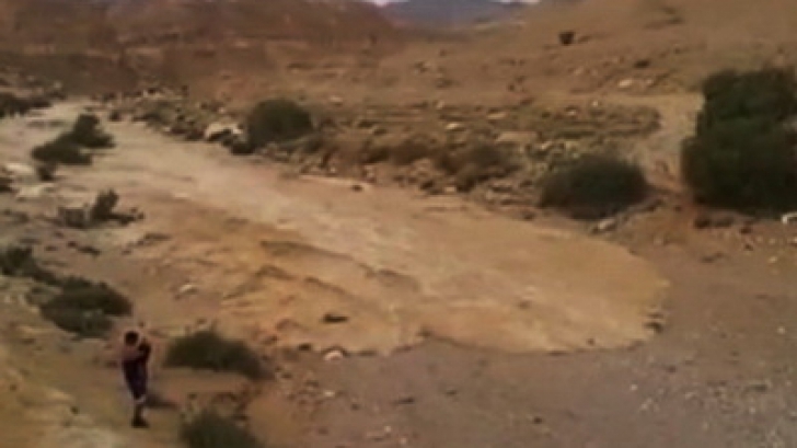 Un râu din vremuri biblice a renăscut în deșert