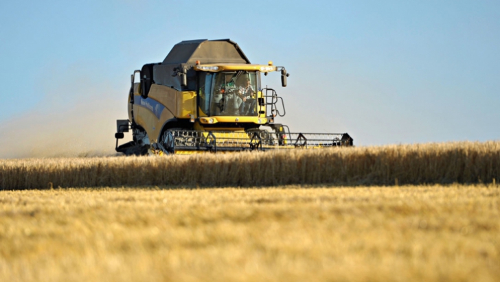 Preţul grâului a crescut cu 20% de la finele lunii februarie, pe fondul tensiunilor din Ucraina