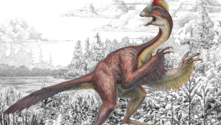 "Găina din Iad", numele unuia dintre cei mai noi și mai înfricoșători dinozauri