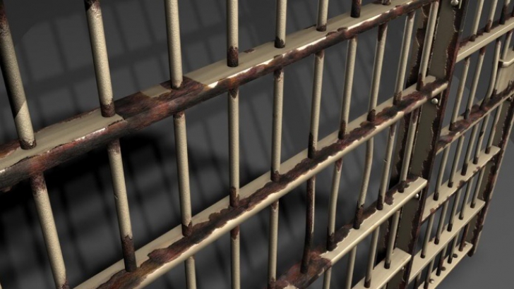 Fost director al Agenţiei de Mediu Vaslui, condamnat definitiv la opt ani de închisoare cu executare