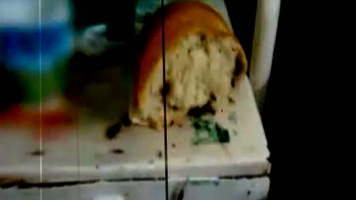 Rudele unui pacient internat la spitalul din Constanţa au filmat gândacii din saloane