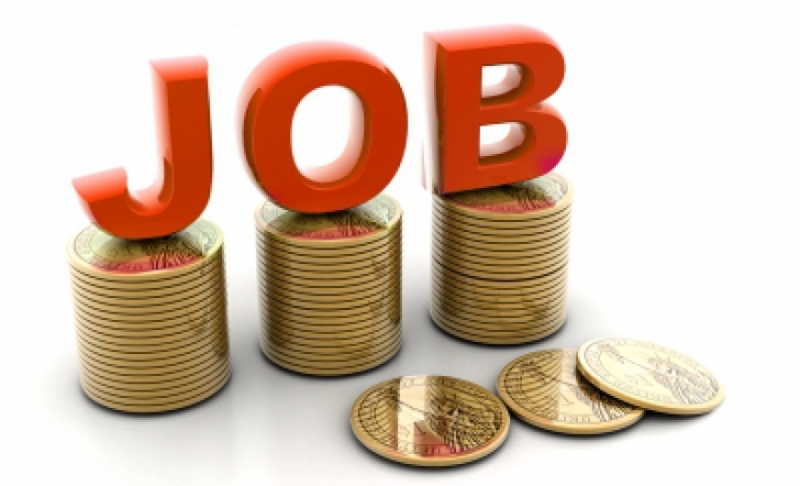Peste 14.400 de joburi vacante în țară. Vezi în ce domenii ai cele mai mari șanse să te angajezi
